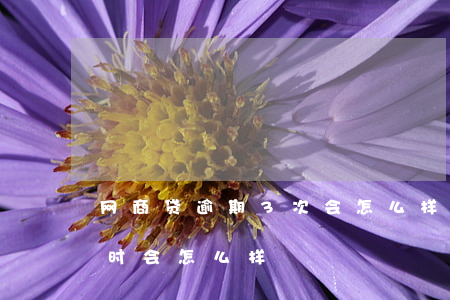 网商贷逾期3次会怎么样(网商贷逾期两个小时会怎么样)