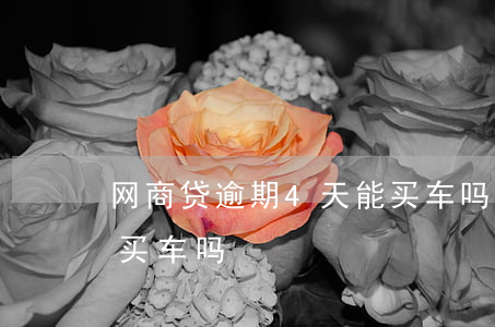 网商贷逾期4天能买车吗(网商贷逾期4天能买车吗)