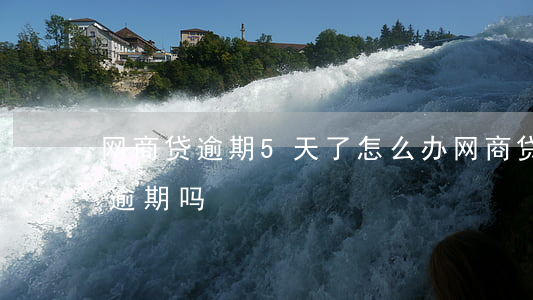 网商贷逾期5天了怎么办(网商贷逾期半天算逾期吗)