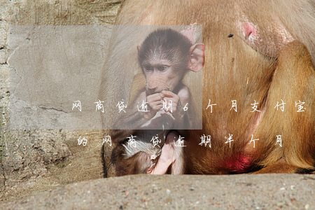 网商贷逾期6个月支付宝用不了-支付宝上的网商贷逾期半个月