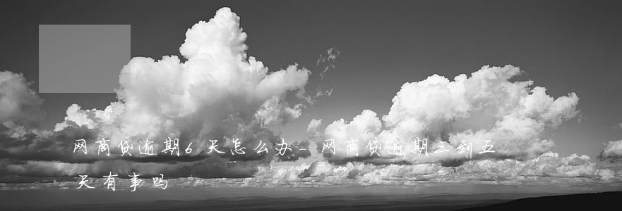 网商贷逾期6天怎么办-网商贷逾期三到五天有事吗