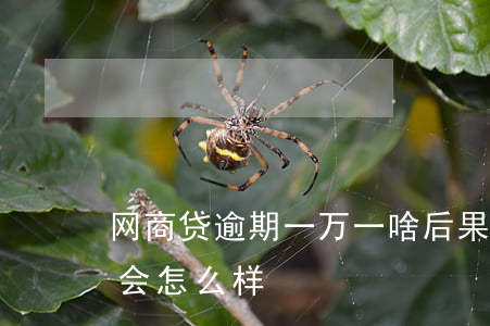 网商贷逾期一万一啥后果(网商贷如果逾期了,会怎么样)