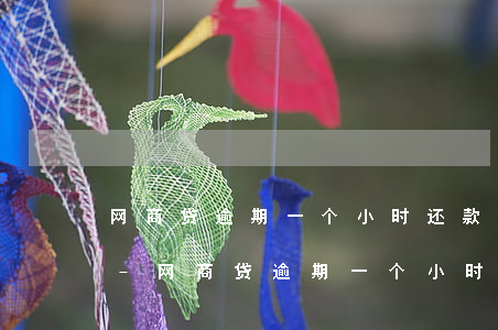 网商贷逾期一个小时还款就会被停止使用吗-网商贷逾期一个小时还款就会被停止使用吗