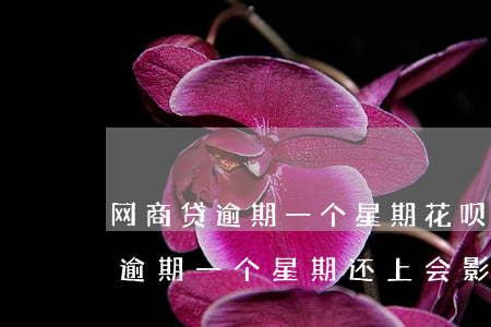 网商贷逾期一个星期花呗会停了吗-网商贷逾期一个星期还上会影响征信吗