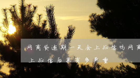 网商贷逾期一天会上征信吗 网商贷逾期一天上征信?后果有多严重?