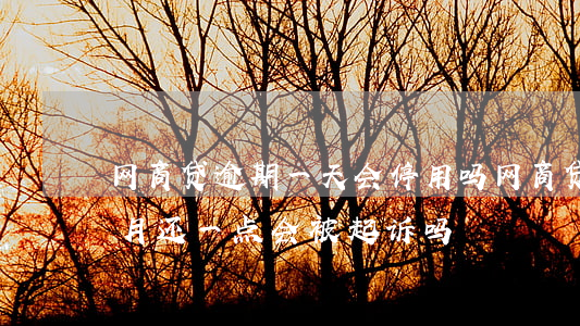 网商贷逾期一天会停用吗(网商贷逾期后每个月还一点会被起诉吗)