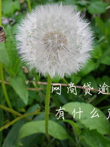 网商贷逾期一天会怎么样(网商贷逾期一天会有什么后果?,有奖问答)