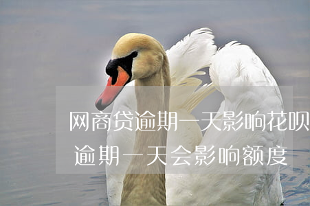 网商贷逾期一天影响花呗和借呗吗-网商贷逾期一天,会影响额度