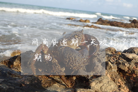 网商贷逾期一天被封了(网商贷逾期半天算逾期吗)