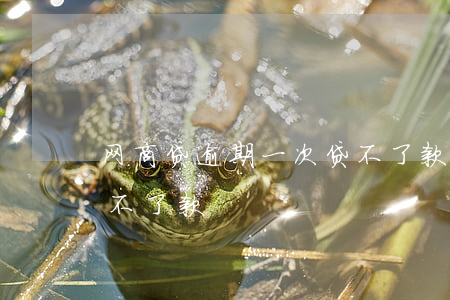 网商贷逾期一次贷不了款(网商贷逾期一次贷不了款)