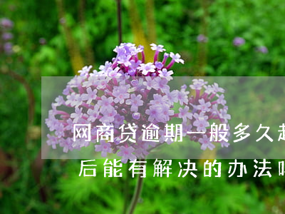网商贷逾期一般多久起诉(网商贷逾期被起诉后能有解决的办法吗)