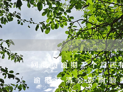 网商贷逾期三个月还能协商吗(网商贷三天内逾期还清会影响额度吗)