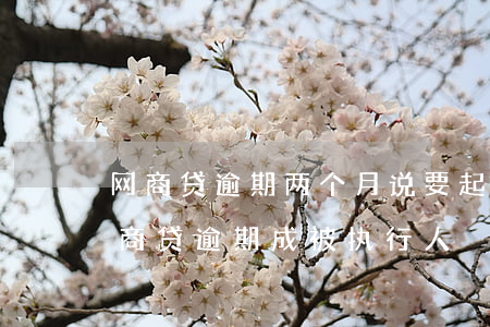 网商贷逾期两个月说要起诉到法院（有多少网商贷逾期成被执行人）