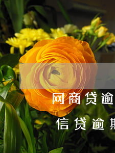 网商贷逾期两年被起诉的可能性有多大（网商信贷逾期会被起诉吗）