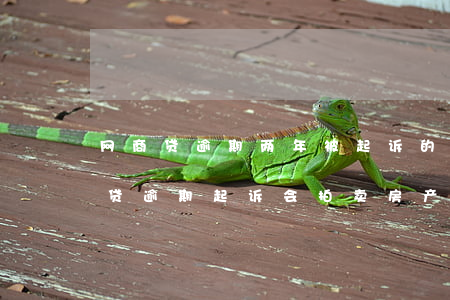 网商贷逾期两年被起诉的可能性有多大（网商贷逾期起诉会拍卖房产吗）