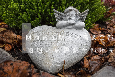 网商贷逾期之后需要全部还完嘛吗-网商贷逾期之后需要全部还完嘛吗知乎