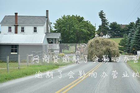 网商贷逾期了会影响办营业执照吗-网商贷逾期了会影响办营业执照吗知乎