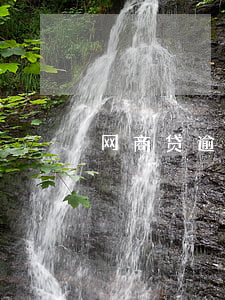 网商贷逾期了还一部分进去能借吗