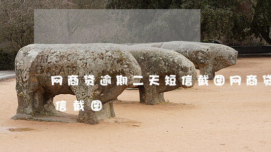 网商贷逾期二天短信截图(网商贷逾期二天短信截图)