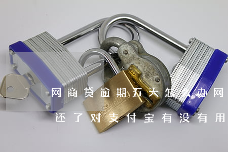 网商贷逾期五天怎么办(网商贷逾期5天全部还了对支付宝有没有用)