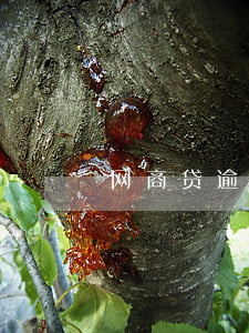 网商贷逾期代扣支付宝(支付宝网商贷扣款)