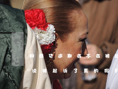 网商贷逾期会不会被起诉(网商贷逾期一年了说被起诉了真的假的)