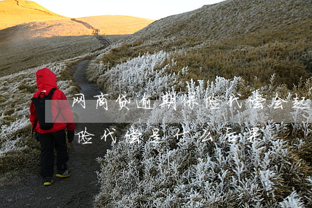 网商贷逾期保险代偿会起诉吗-网贷逾期保险代偿是什么后果