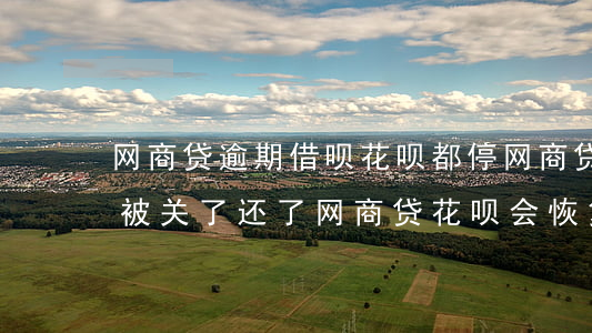 网商贷逾期借呗花呗都停(网商贷逾期后花呗被关了 还了网商贷花呗会恢复吗)