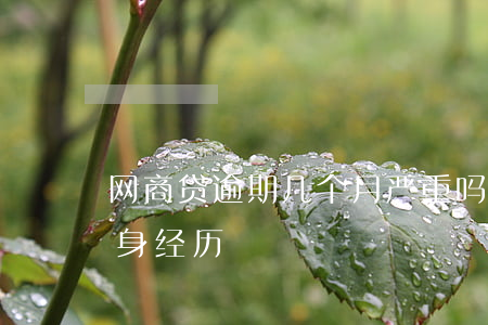 网商贷逾期几个月严重吗(网商贷逾期一年亲身经历)
