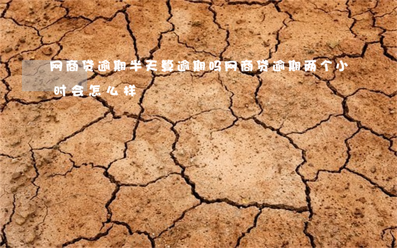 网商贷逾期半天算逾期吗(网商贷逾期两个小时会怎么样)
