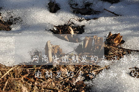 网商贷逾期发的走访通知真的假的-网商贷逾期发的走访通知真的假的怎么办