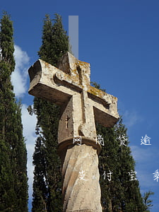 网商贷逾期可以支付宝乘车(网商贷逾期可以支付宝乘车)