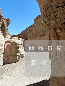 网商贷逾期可以用花呗吗(网商贷可以花呗还款吗)