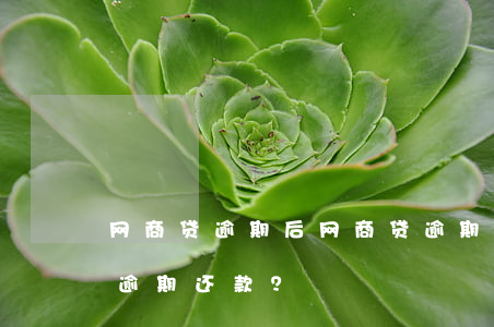 网商贷逾期后，网商贷逾期后果严重，如何避免逾期还款？