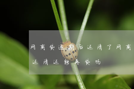 网商贷逾期后还清了(网商贷有过逾期后全部还清还能再贷吗)