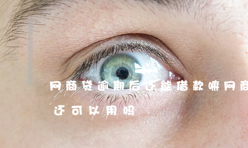 网商贷逾期后还能借款嘛(网商贷逾期后还上还可以用吗)