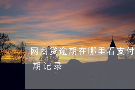 网商贷逾期在哪里看(支付宝网商贷怎么查逾期记录)