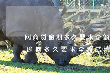 网商贷逾期多久要求全额结清还款-网商贷逾期多久要求全额结清还款呢