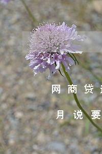 网商贷逾期多长时间起诉(网商贷逾期一个多月说要起诉)