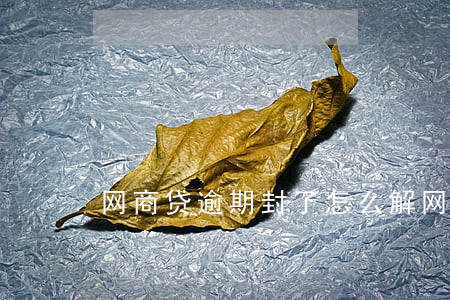 网商贷逾期封了怎么解(网商贷风险多久解除)