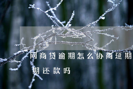 网商贷逾期怎么协商延期(网商贷可以协商延期还款吗)