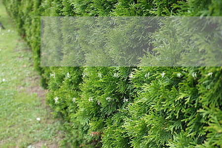 网商贷逾期支付宝有钱秒扣(网商贷逾期支付宝有钱秒扣)