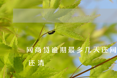网商贷逾期最多几天还(网商贷逾期最多几天还清)