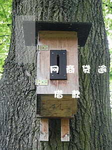 网商贷逾期有额度借不了(网商贷有额度无法借款)