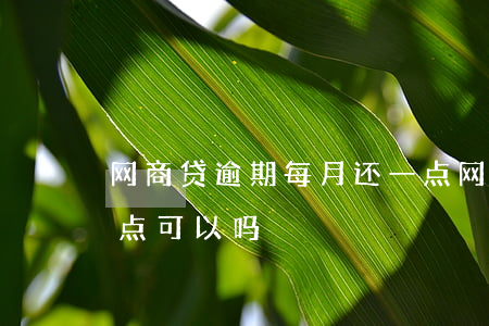 网商贷逾期每月还一点(网商贷逾期每月还一点可以吗)