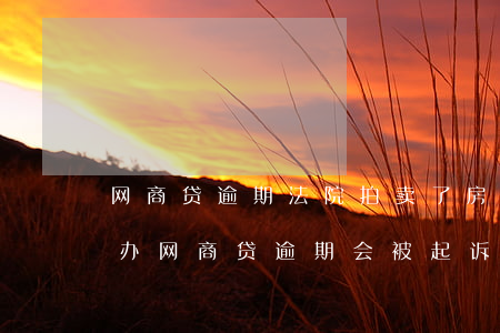 网商贷逾期法院拍卖了房产 网商贷逾期怎么办?网商贷逾期会被起诉吗