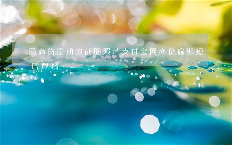网商贷逾期的截图照片(支付宝网商贷逾期短信截图)