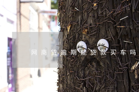 网商贷逾期能贷款买车吗(网商贷可以买车吗)