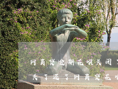 网商贷逾期花呗关闭了(网商贷逾期后花呗被关了 还了网商贷花呗会恢复吗)