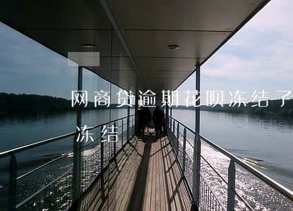网商贷逾期花呗冻结了(网商贷忘记还款花呗冻结)